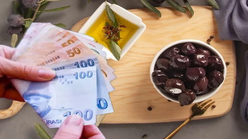 Marmarabirlik zeytin üreticisine 860 milyon TL ödeyecek