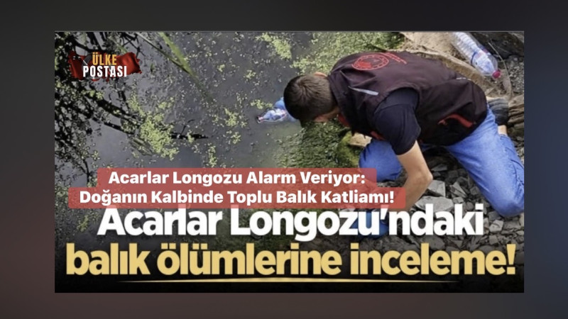 Acarlar Longozu Alarm Veriyor: Doğanın Kalbinde Toplu Balık Katliamı!