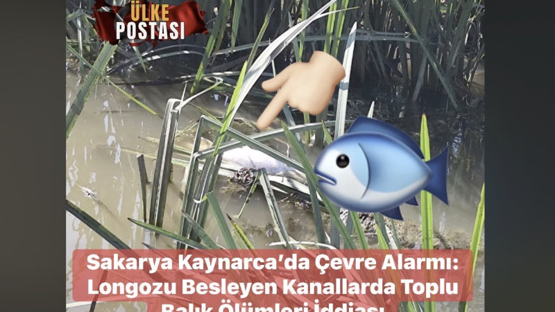 Sakarya Kaynarca’da Çevre Alarmı: Longozu Besleyen Kanallarda Toplu Balık Ölümleri Gerçeği