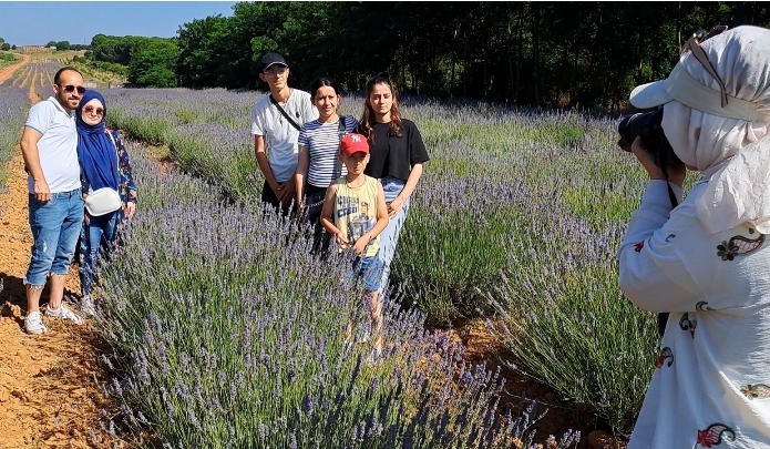 Sakarya' Karasu, Kaynarca Sahil bandında' Lavanta bahçesi ziyaretçilerini ağırlıyor.